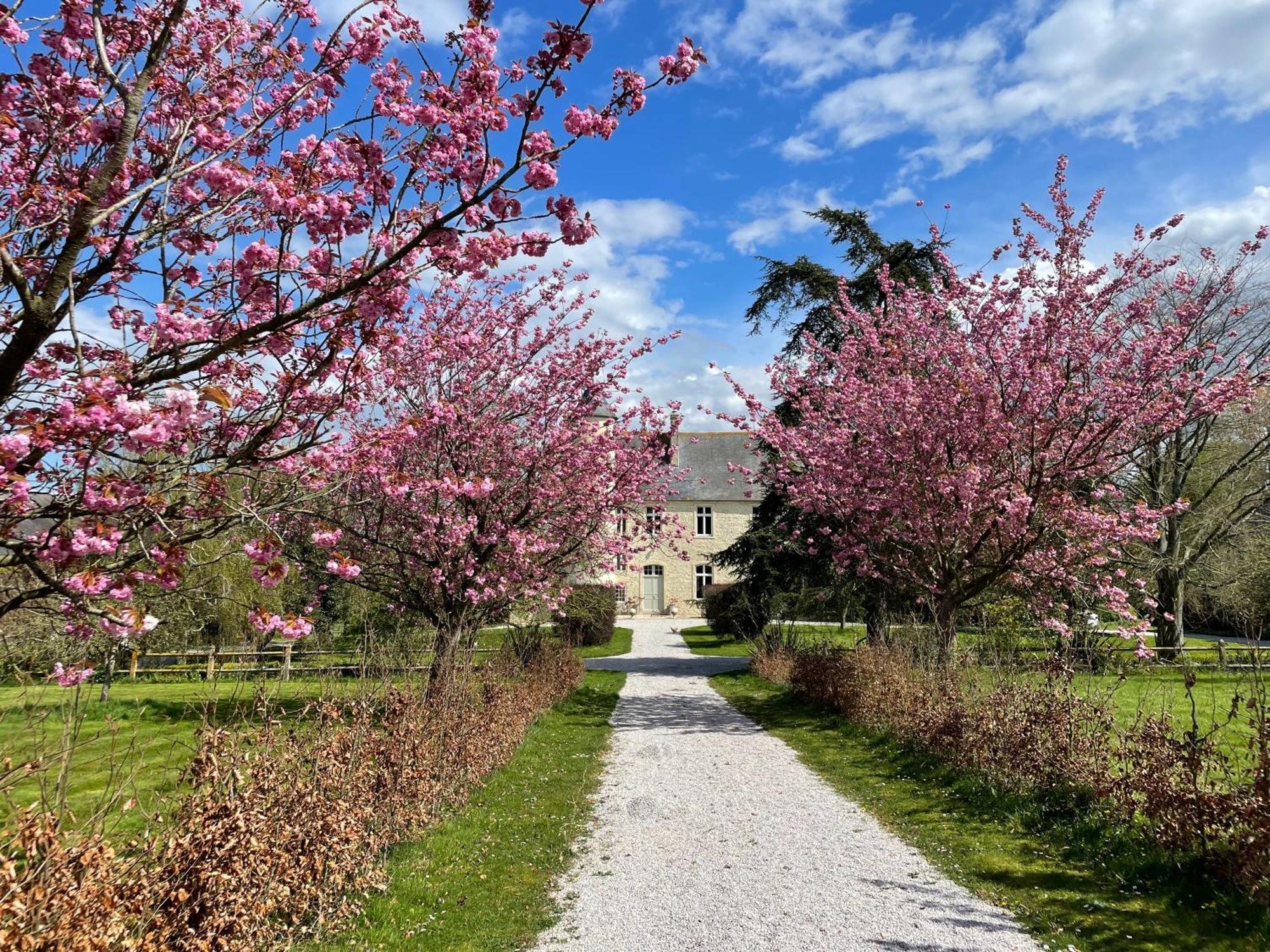 Chateau De Monfréville Dış mekan fotoğraf